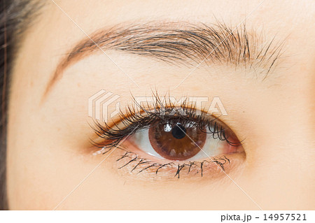 アジア人　つけまつげとブラウンカラーコンタクトレンズ　Eyes of the Asian woman 14957521