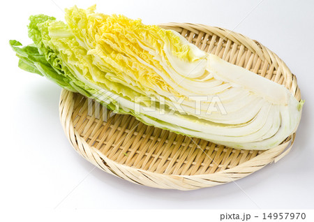 切り売り白菜 切り売り白菜 14957970