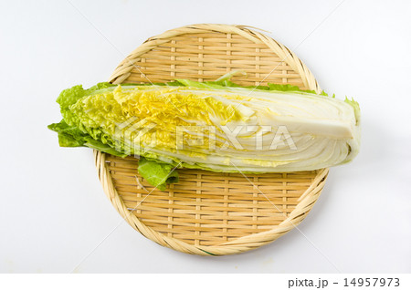 切り売り白菜 切り売り白菜 14957973