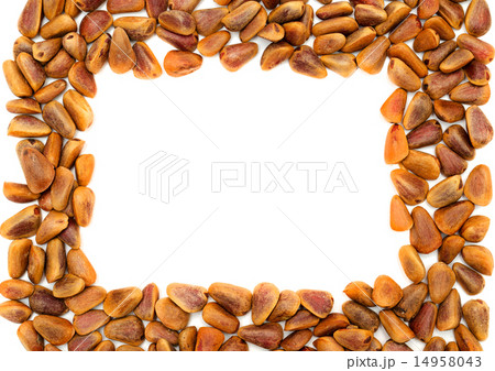 frame with Nuts of Siberian Cedar Pine frame with Nuts of Siberian Cedar Pine 14958043