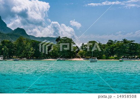 Tropical beach at Mahe island Seychelles 14958508