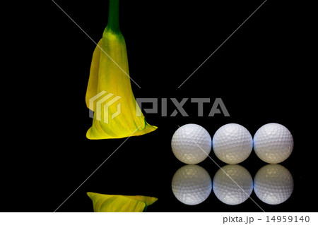 Yellow calla lily and golf ball Yellow calla lily and golf ball 14959140