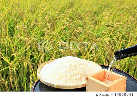 秋の新酒と新米と田んぼ風景 秋の新酒と新米と田んぼ風景 14960641