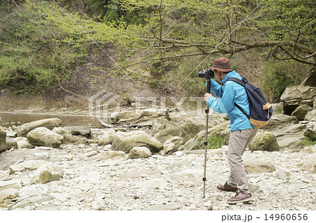 写真を撮るシニア男性 写真を撮るシニア男性 14960656