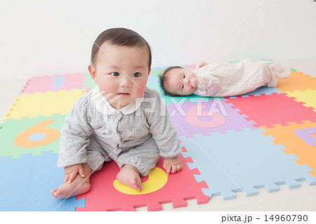 2 months old & 6 months old 2 months old & 6 months old 14960790