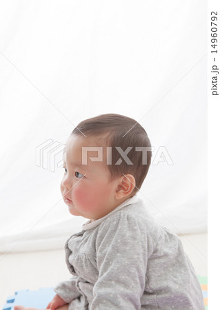 6 months old 6 months old 14960792