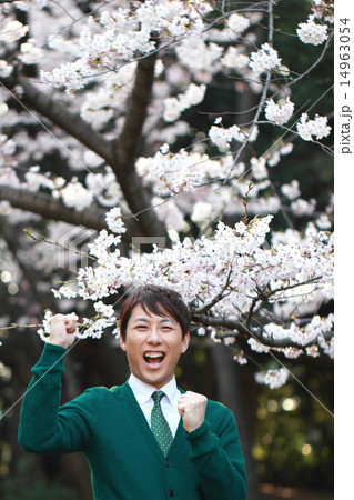 男性1人 (ビジカジ ビジネスカジュアル 仕事 桜 春 新生活 会社員 新学期 ソメイヨシノ) 14963054