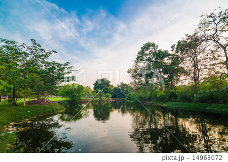 Pond in green park in evening 14963072