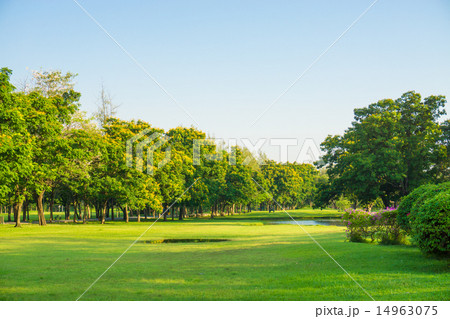Park and recreation area in the city Park and recreation area in the city 14963075