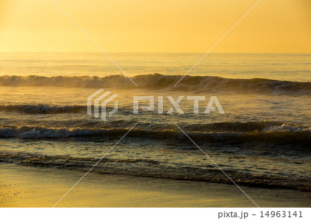 恋問海岸の朝 14963141