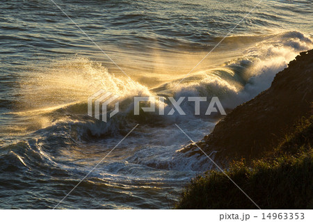 朝陽に輝く波 14963353