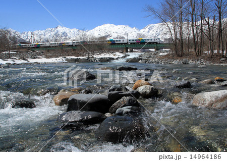 早春の大糸線 14964186