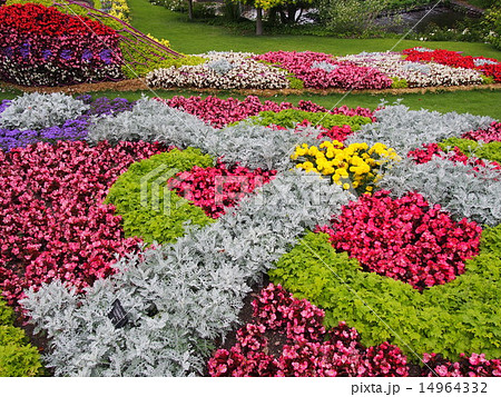 デンパークの花壇 14964332