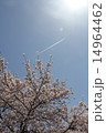 桜と飛行機雲 14964462