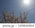 桜と飛行機雲 14964464