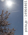 桜と飛行機雲 14964465