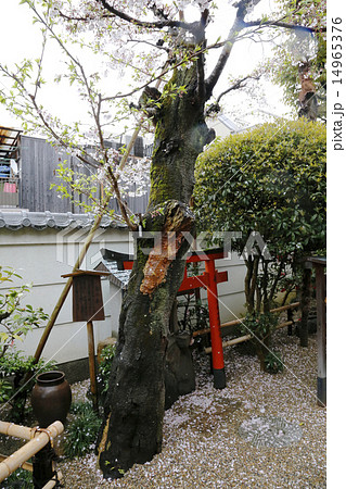 寺田屋 寺田屋 14965376