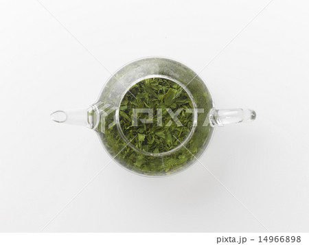 煎茶 煎茶 14966898