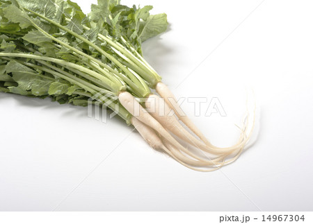 大根菜 葉付き大根 健康食材 大根菜 葉付き大根 健康食材 14967304