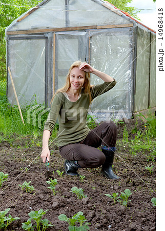 young woman couch a bed with the first sprouts of young woman couch a bed with the first sprouts of 14968418