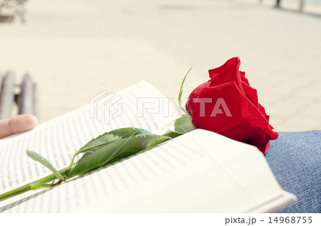 book and red rose for Sant Jordi, in Catalonia 14968755