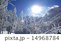 八ヶ岳の樹氷 14968784