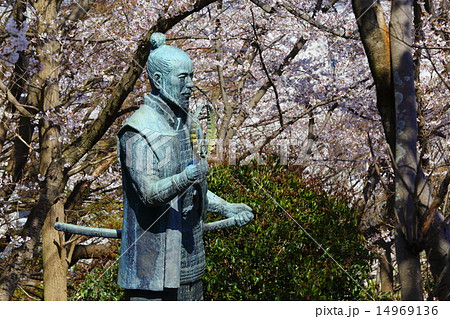 浜松城公園　徳川家康像の春 14969136
