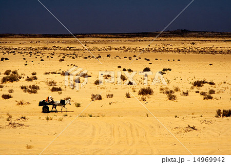 people in the desert of tunisia people in the desert of tunisia 14969942