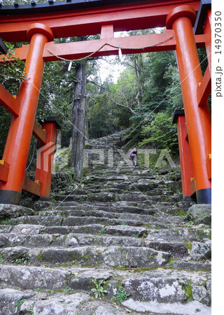 神倉神社参道 14970350