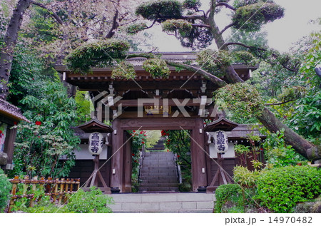 高蔵寺山門 14970482