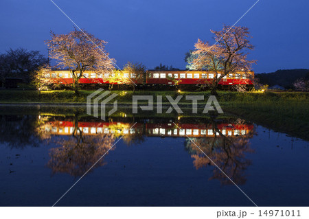 夜桜と小湊鉄道 14971011