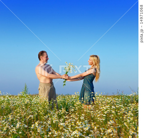 happy young pair in the field of chamomiles happy young pair in the field of chamomiles 14971068