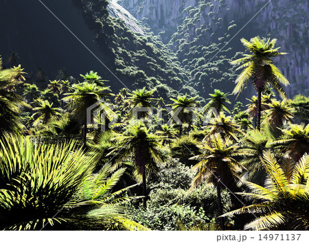 Beautiful palm trees 14971137