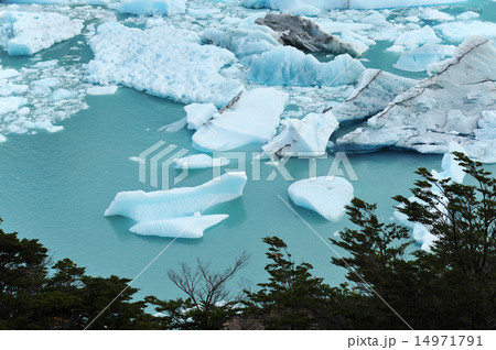 アルゼンチン　エル・カラファテ　ペリトモレノ氷河 14971791