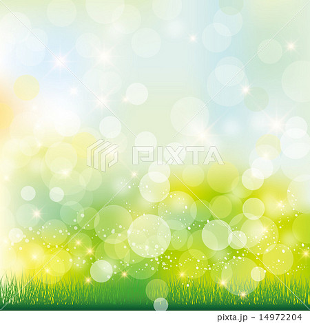 緑　芝　背景 14972204