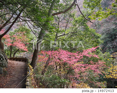 三段峡 14972413