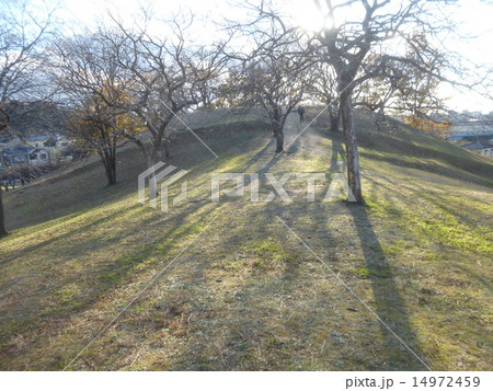 大鳥塚古墳 大鳥塚古墳 14972459