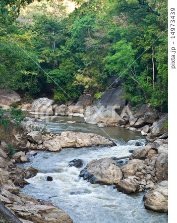 Stream in National Park in Chiang Mai in Thailand. 14973439