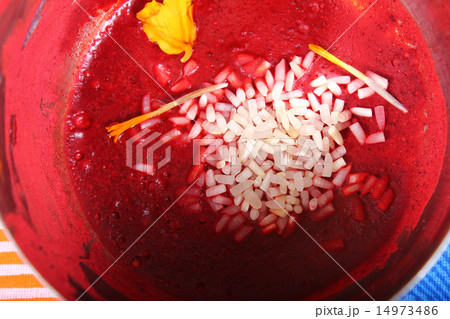 roli with rice roli with rice 14973486