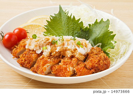 とんかつ とんかつ 14973666