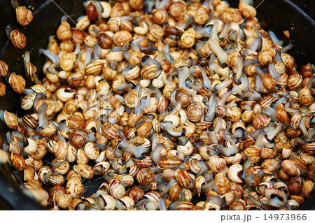 Edible snails on a marketplace on Marrakech Edible snails on a marketplace on Marrakech 14973966