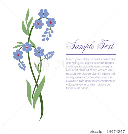 sprig of forget-me 14974267
