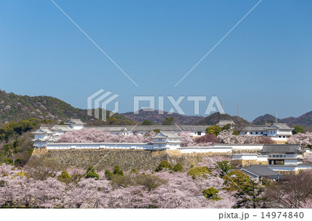 姫路城・打込ハギの石垣 姫路城・打込ハギの石垣 14974840
