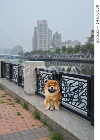 台湾 台湾 14976100