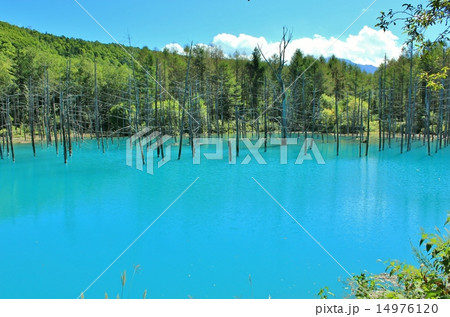 爽やかな秋空とブルーの青い池 14976120