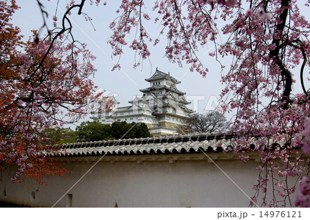 姫路城 姫路城 14976121