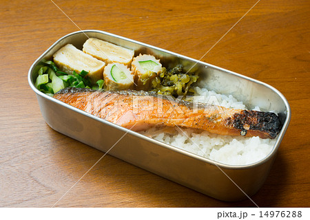 シャケ弁 シャケ弁 14976288