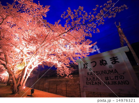 勝沼ぶどう郷駅の夜桜ライトアップ 14976321