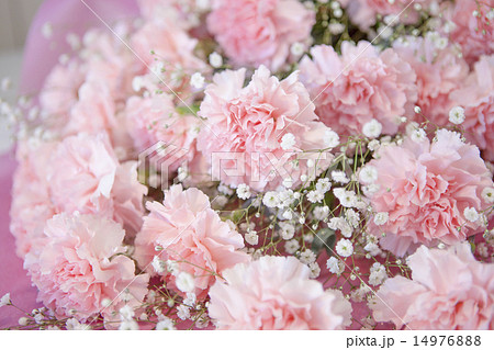 カーネーションの花束 14976888