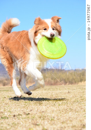 楽し~♪ 楽し~♪ 14977067